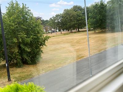 Picture 29
